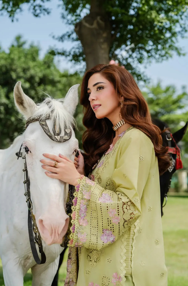 Elaf - 3PC Unstitched Lawn Embroidered Suit - UA249