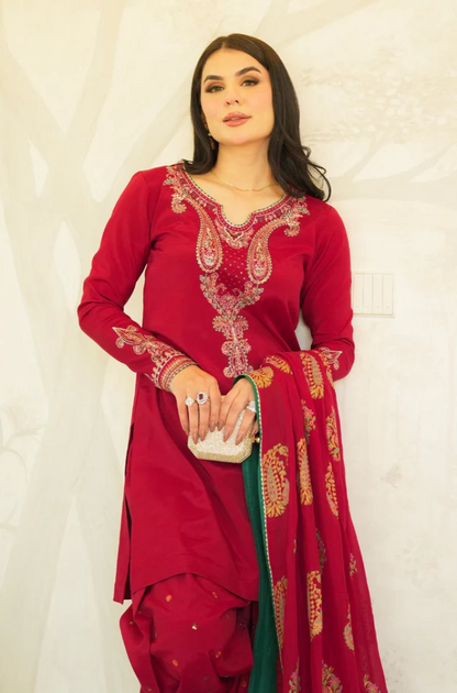 3 Piece Unstitched Dhanak Embroidered Suit - US107
